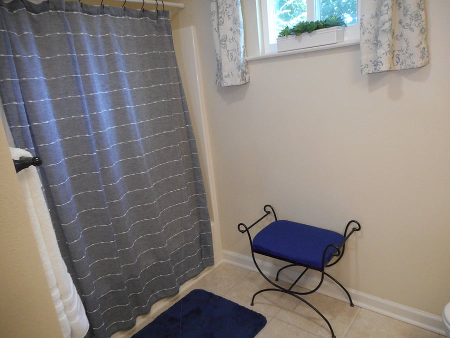 Spa-like bathroom.