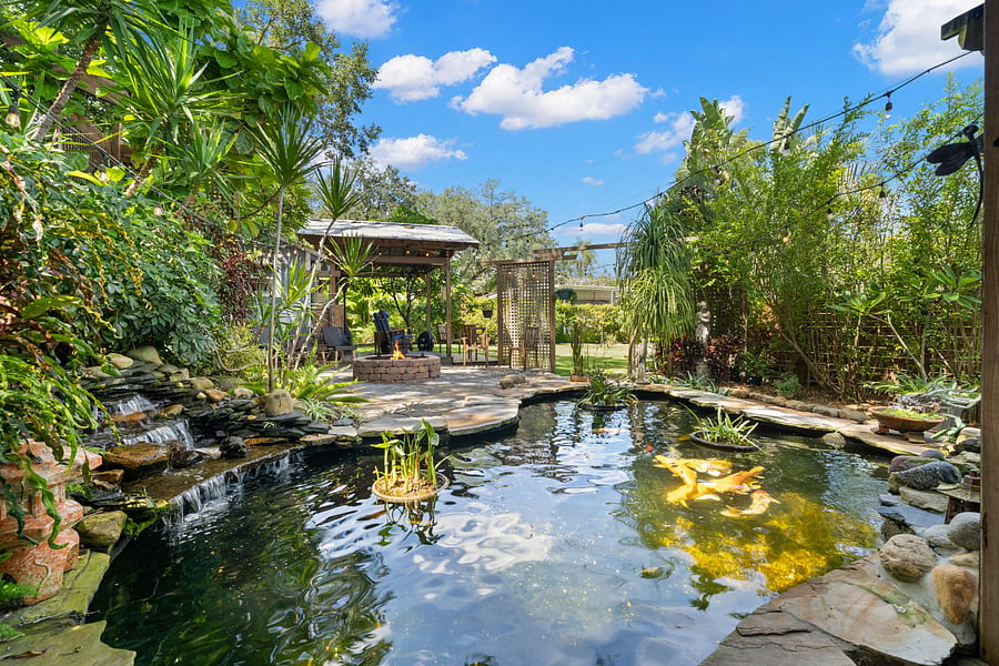 The Koi Pond