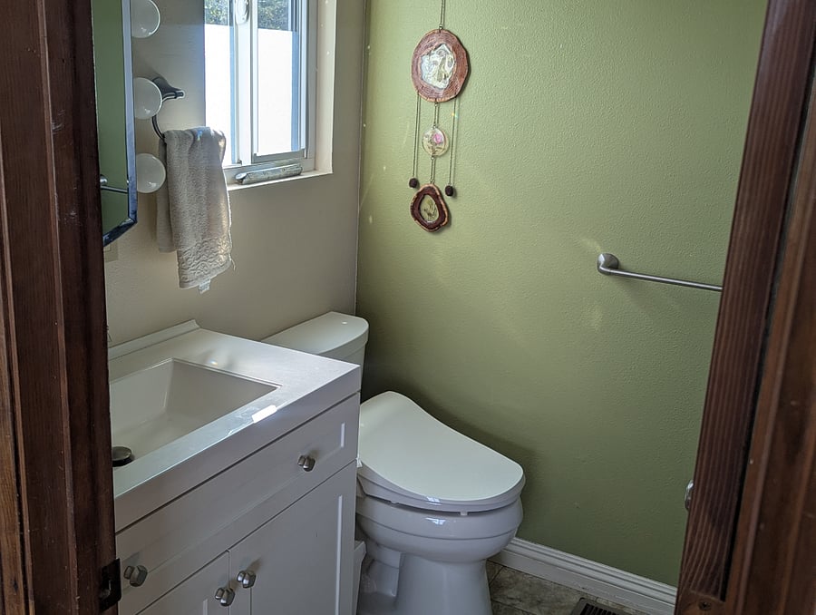 Master bathroom with tub