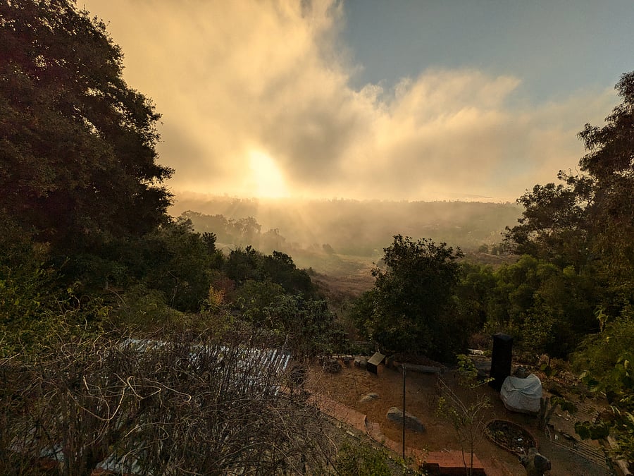Sunrise view
