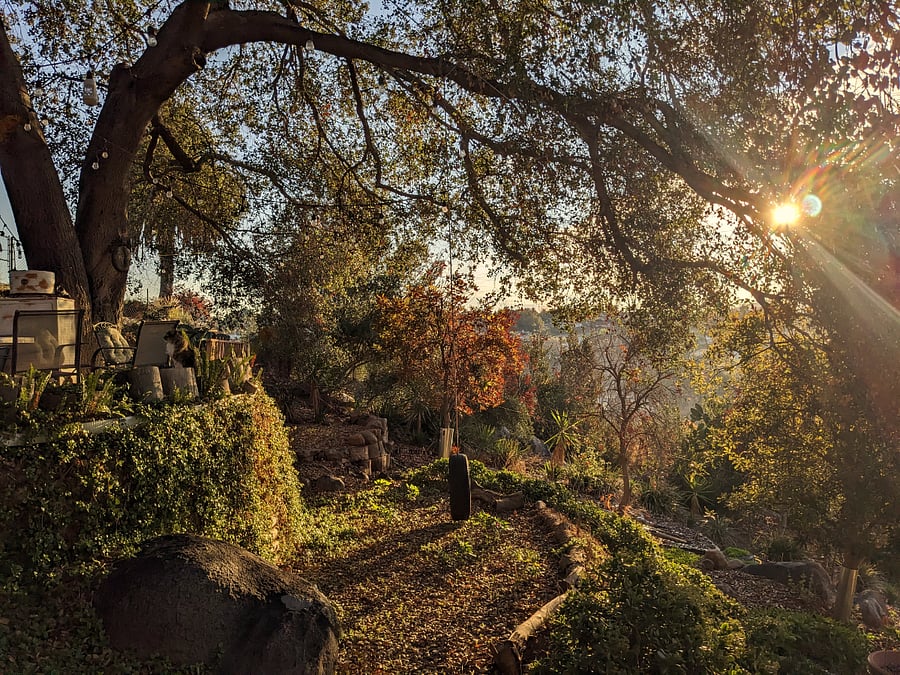 Sunrise view
