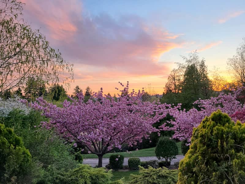 Sunset view from deck