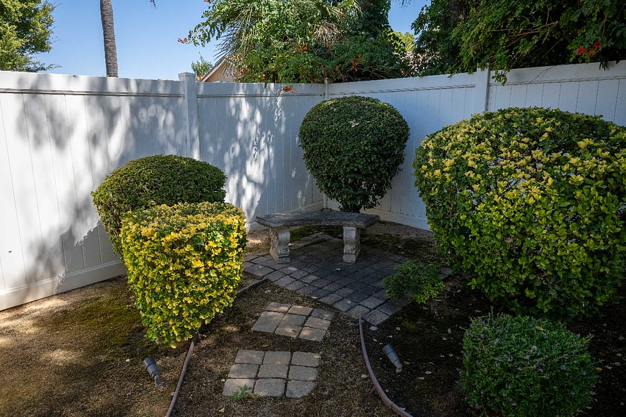 Backyard Sitting Area 