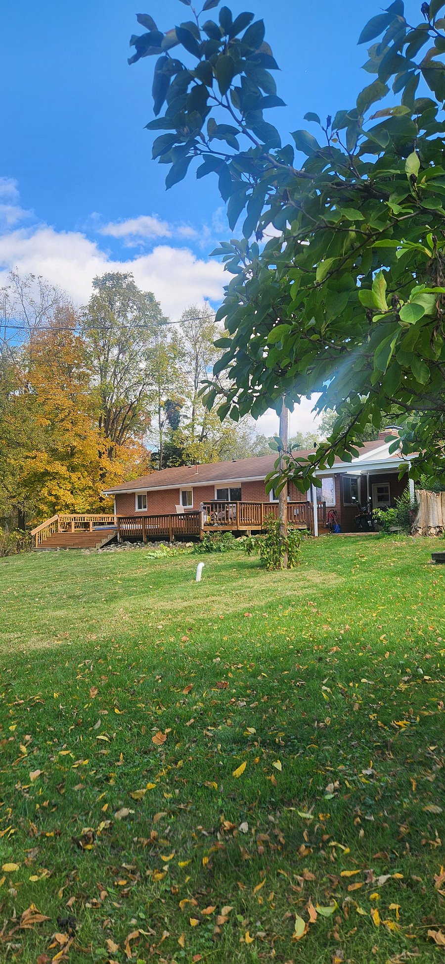 Furnished Finder property 1022698_1 photo 15