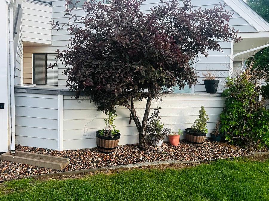 Furnished Finder property 1022760_1 photo 4