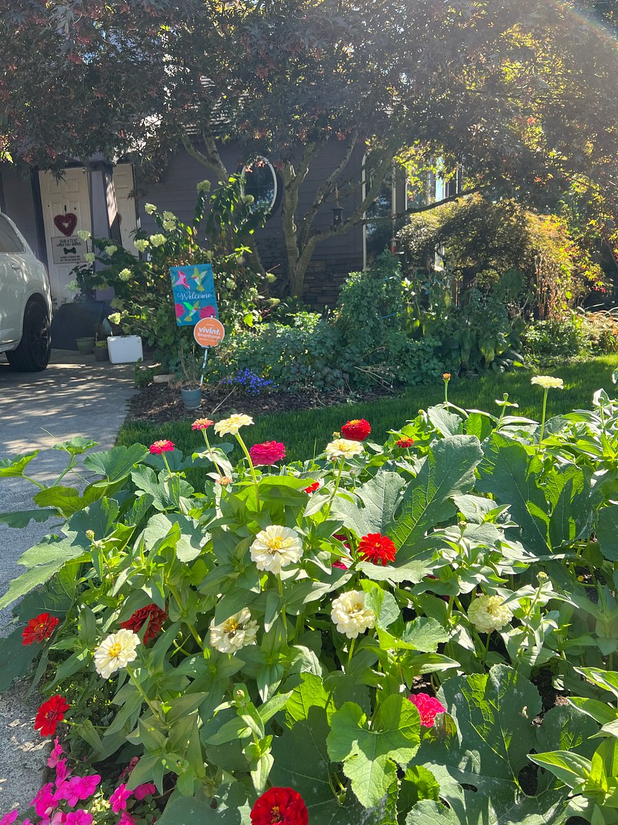 Front yard flower bed.