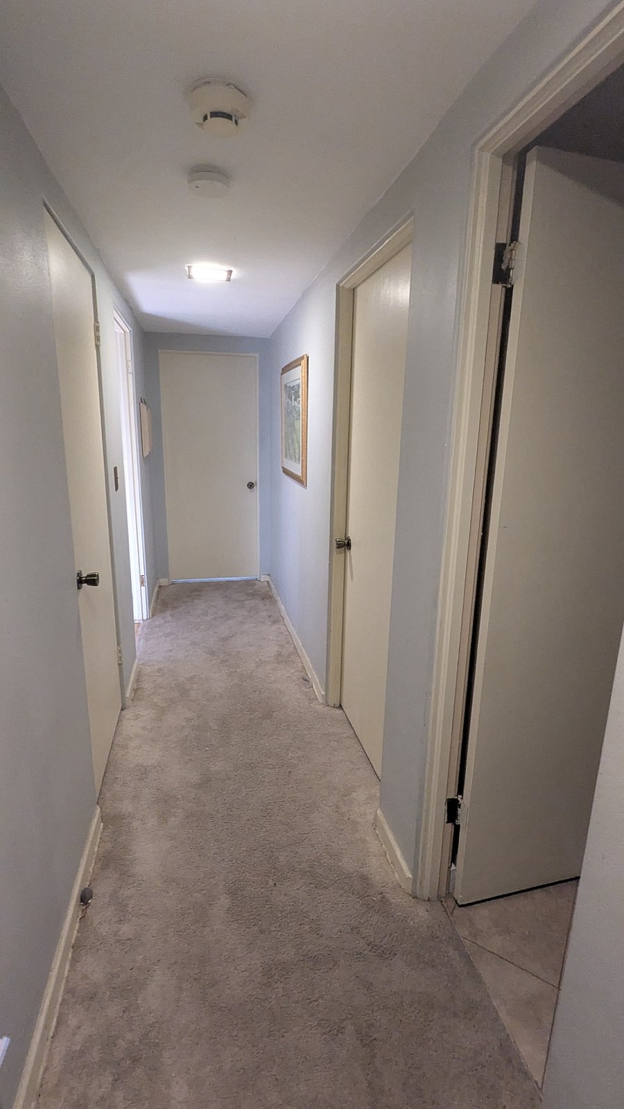 Furnished Finder property 1022792_1 photo 16