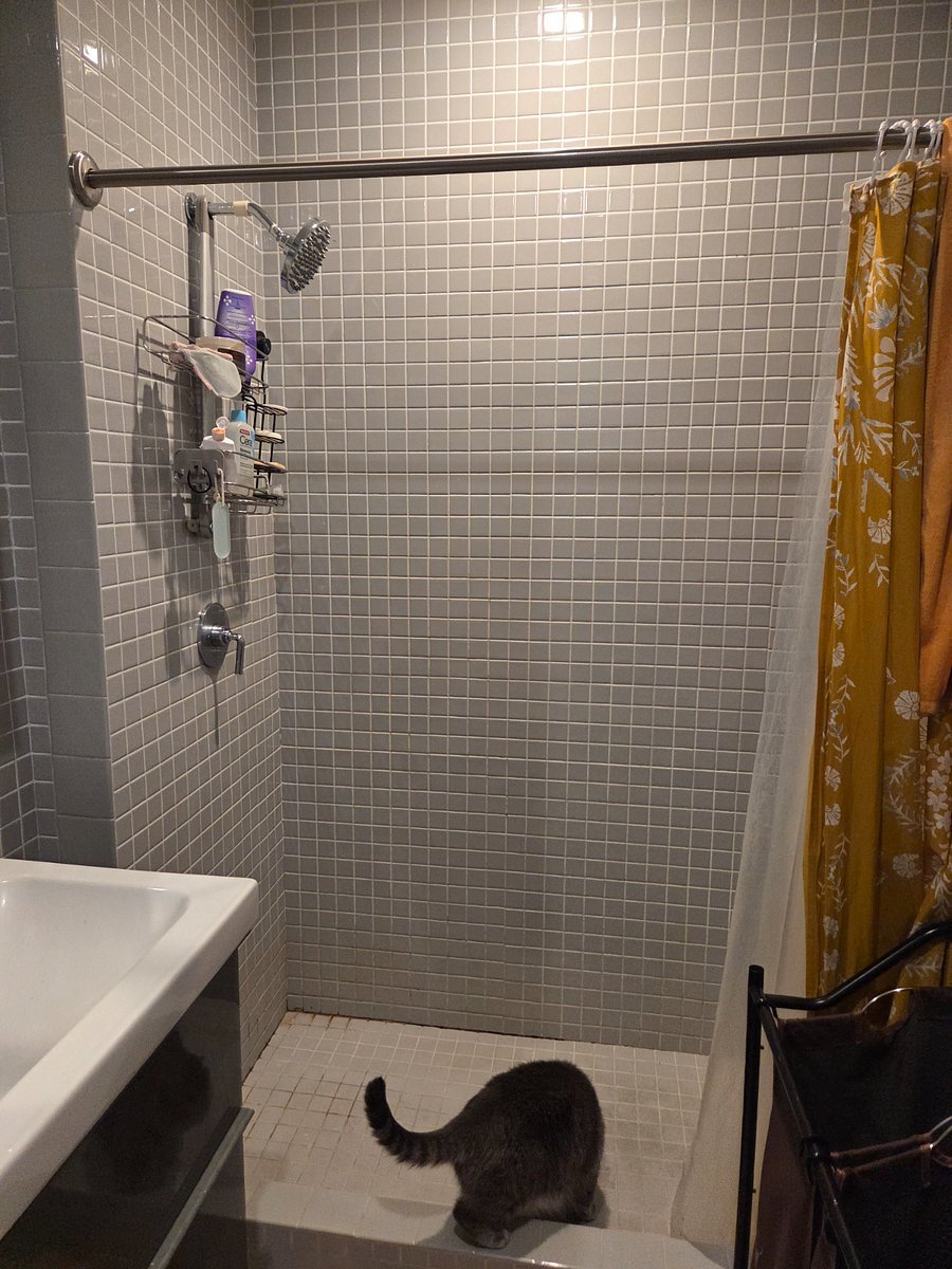 Furnished Finder property 1022797_1 photo 3