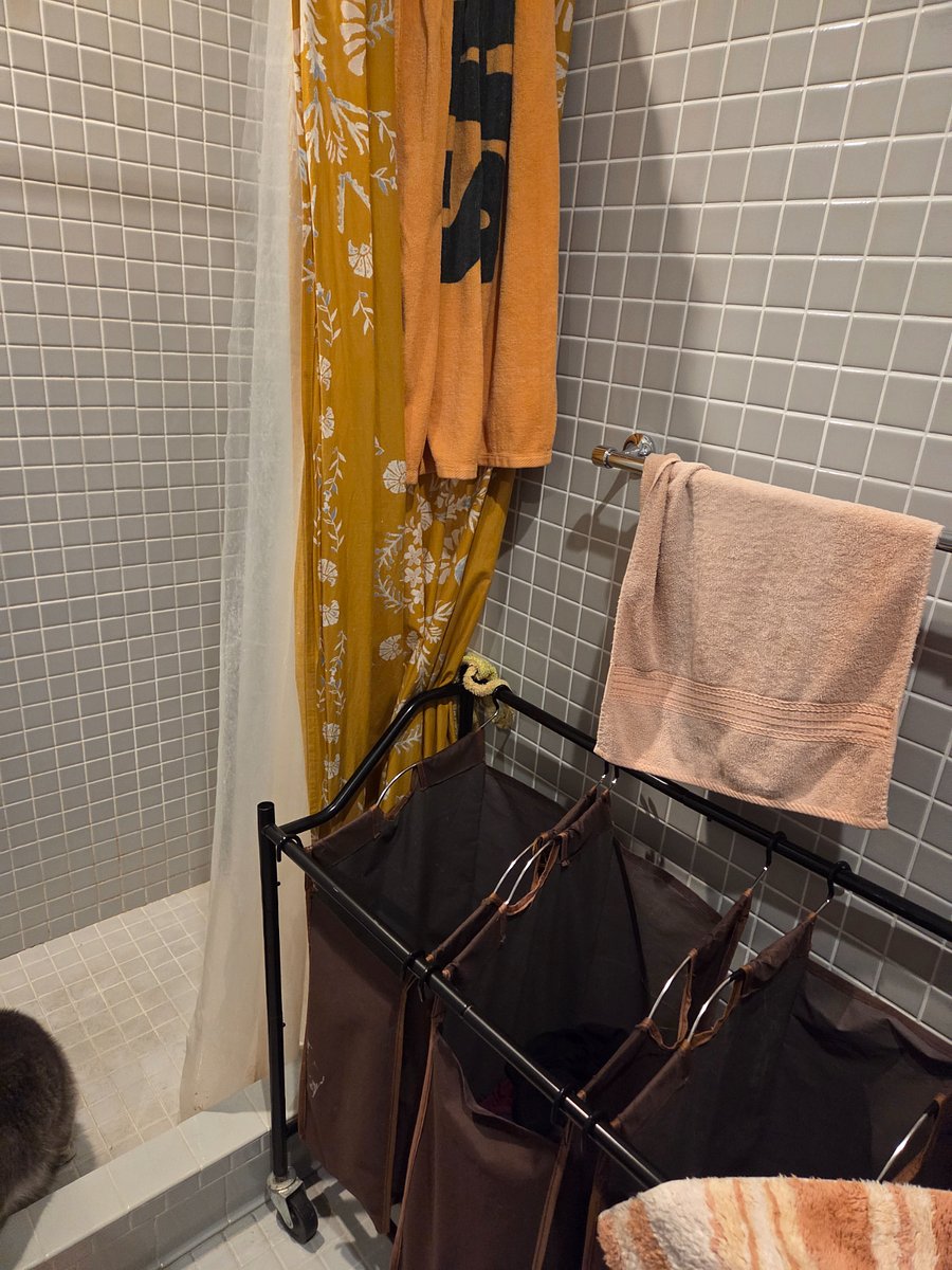 Furnished Finder property 1022797_1 photo 5