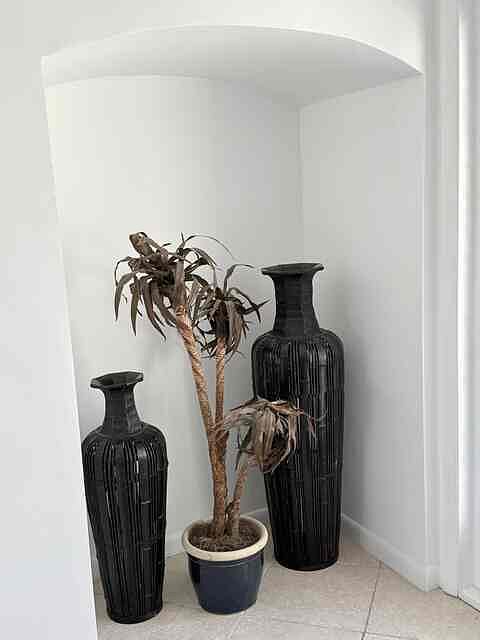 Furnished Finder property 1022854_1 photo 22