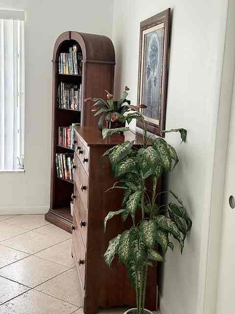 Furnished Finder property 1022854_1 photo 25
