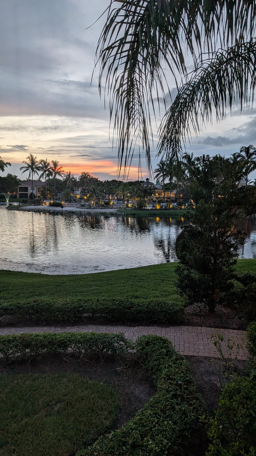 View from lanai