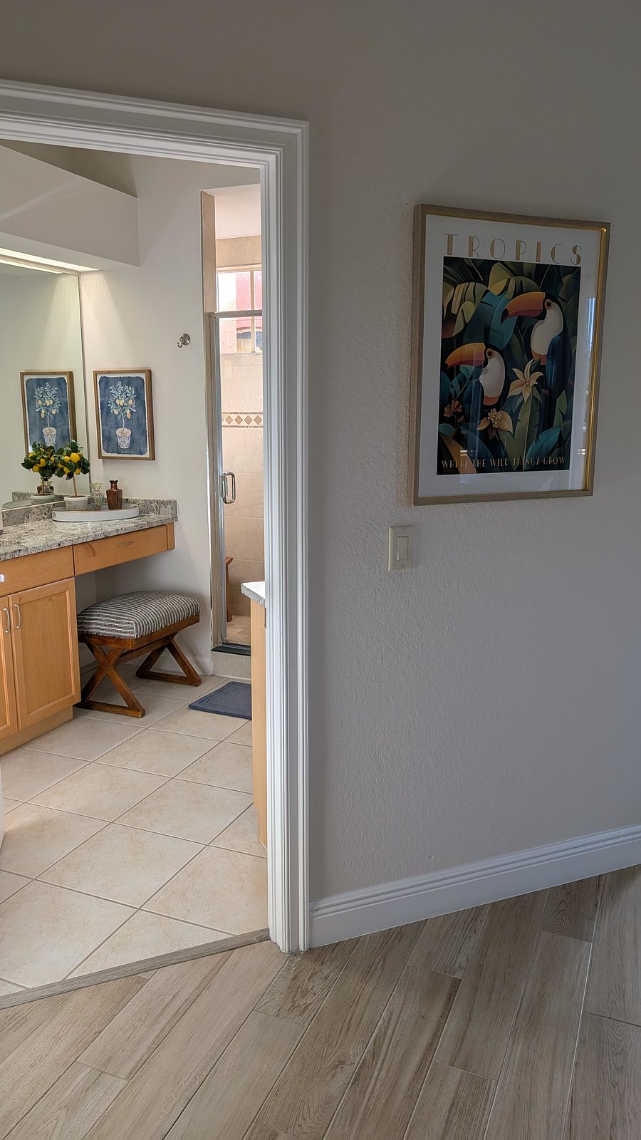 View into Master bath