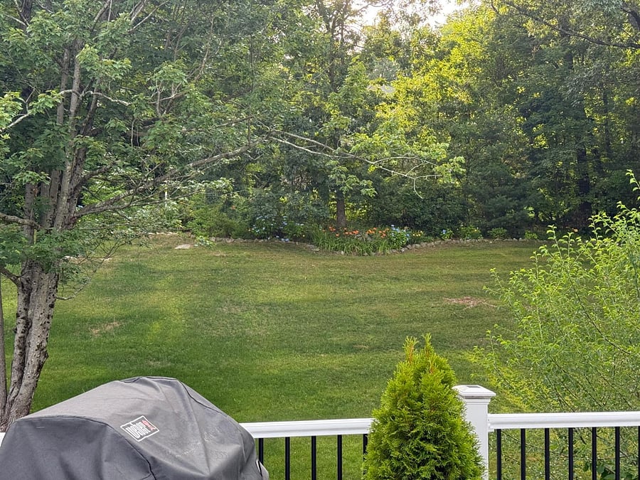 Furnished Finder property 1022920_1 photo 15
