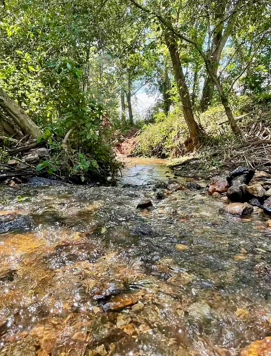 Small Creek at base of property.