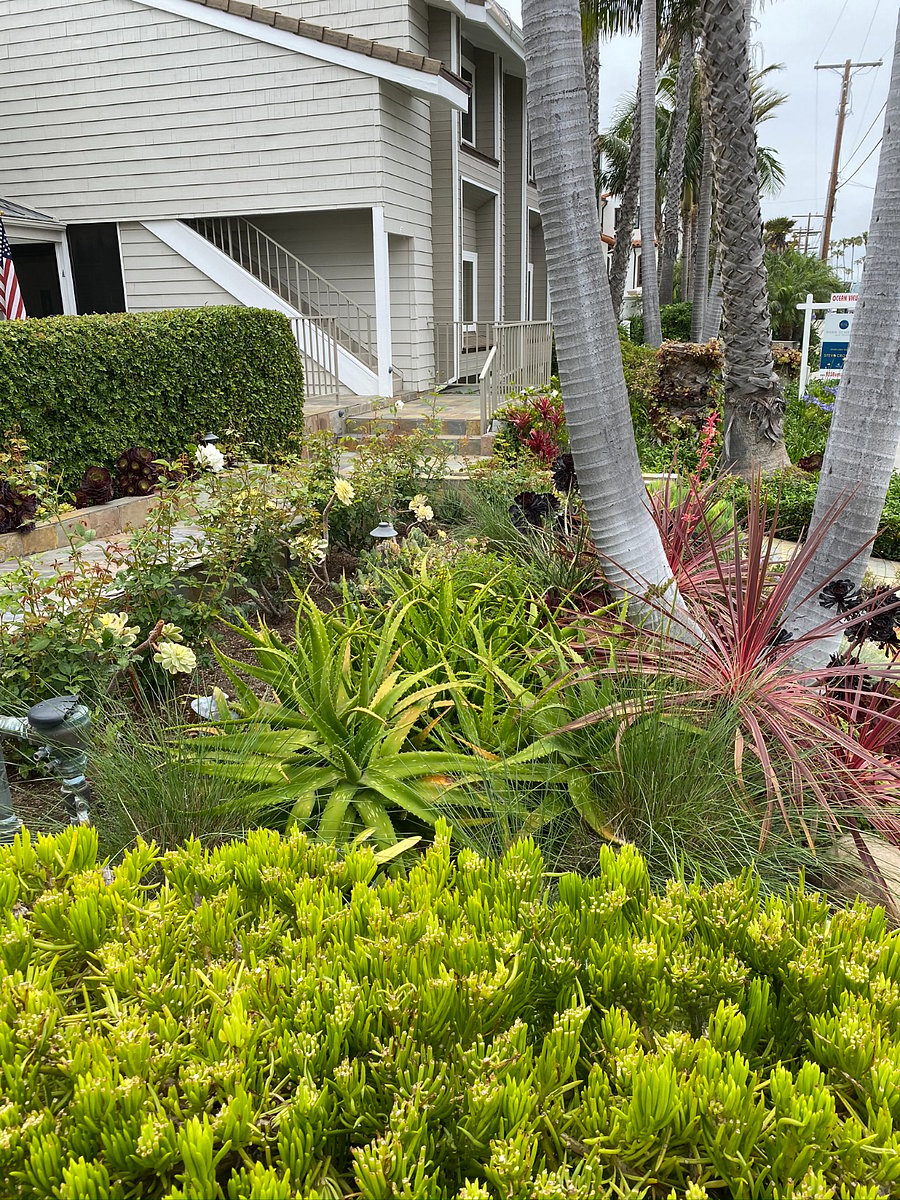 Furnished Finder property 1022971_1 photo 26