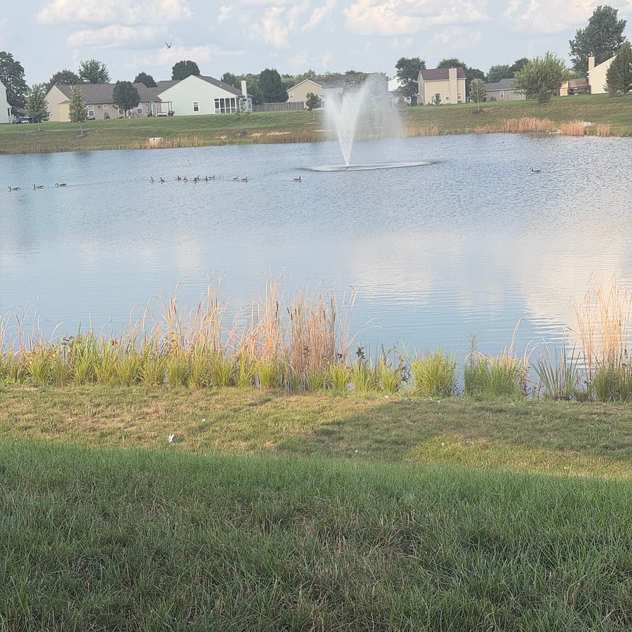 Furnished Finder property 1022975_1 photo 50