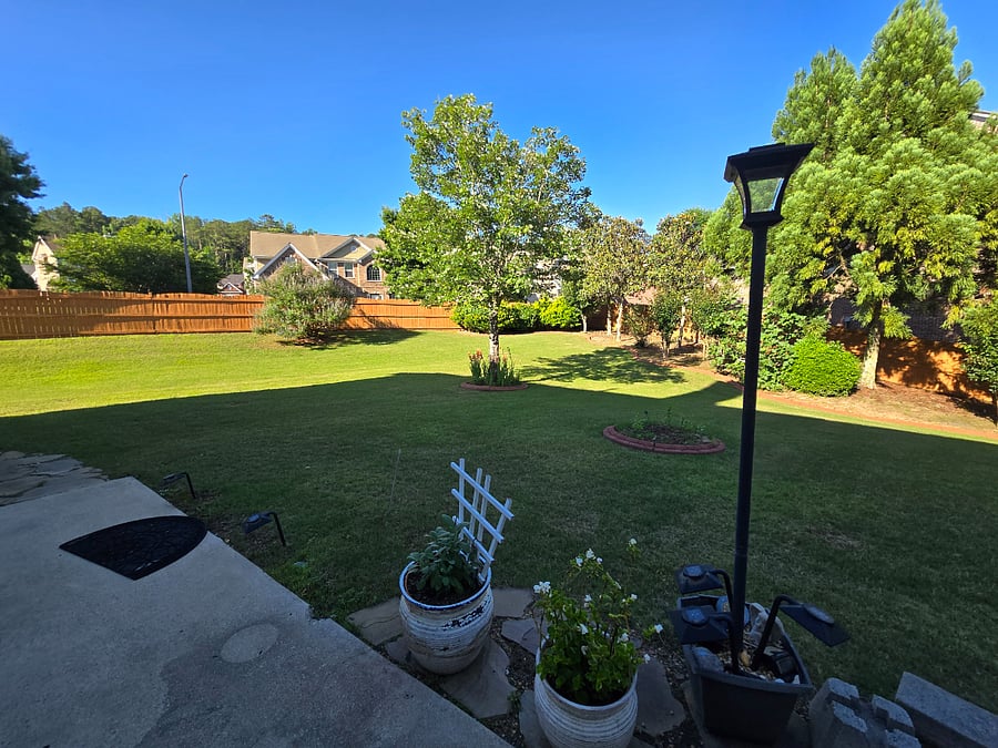 Shared Common Areas: Backyard 3