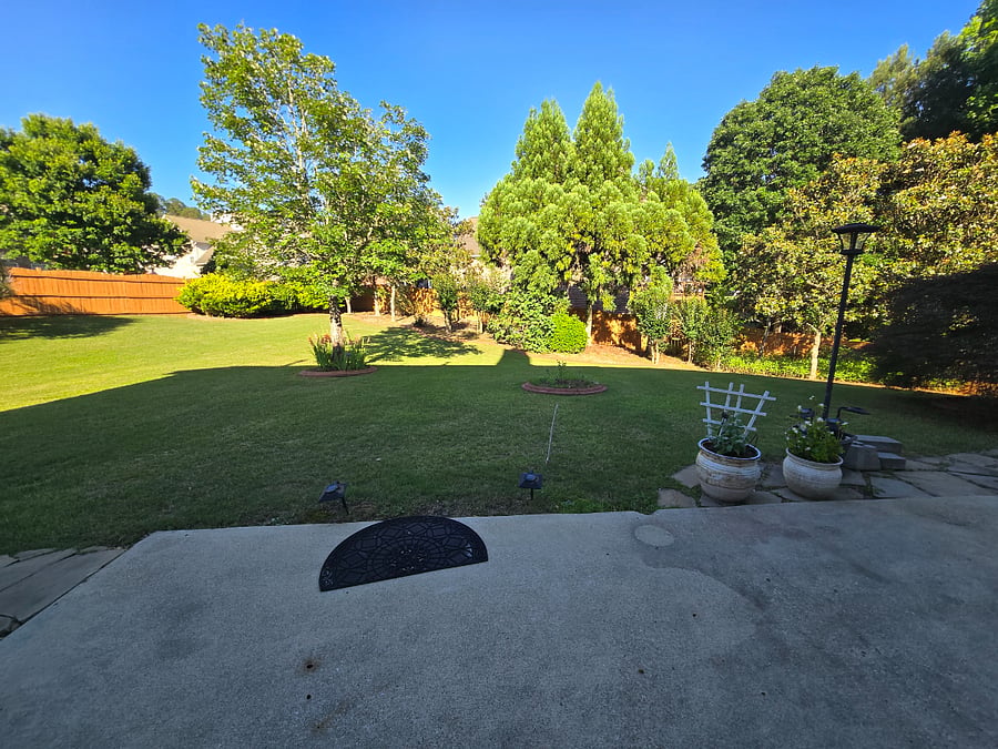 Shared Common Areas: Backyard 2