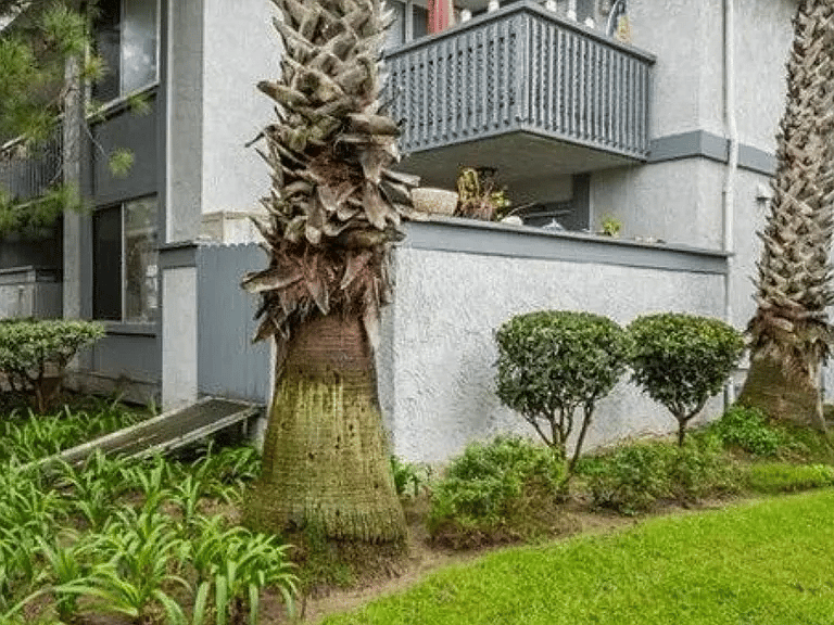 Furnished Finder property 1023369_1 photo 14