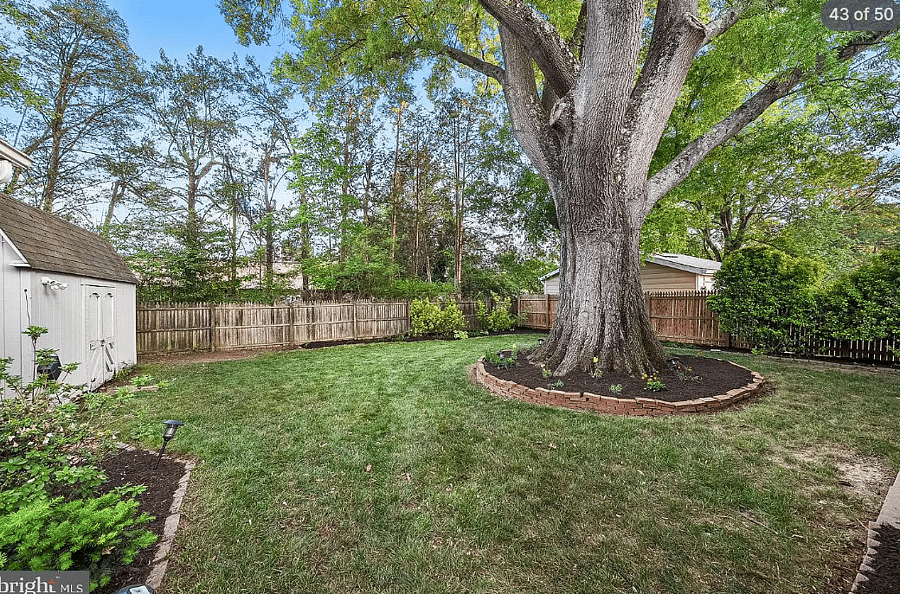 Furnished Finder property 1023396_1 photo 8