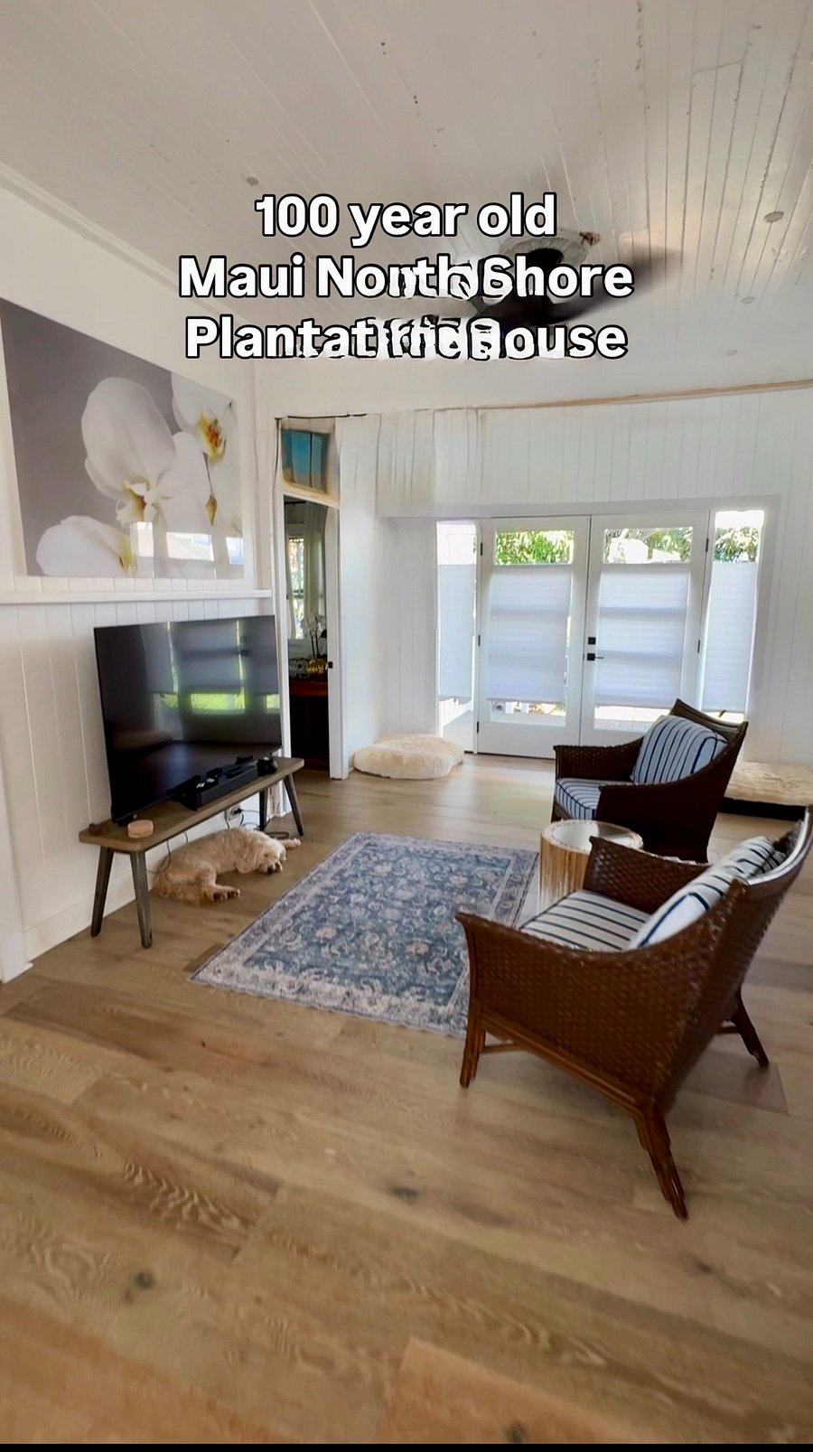 Furnished Finder property 1023419_1 photo 4