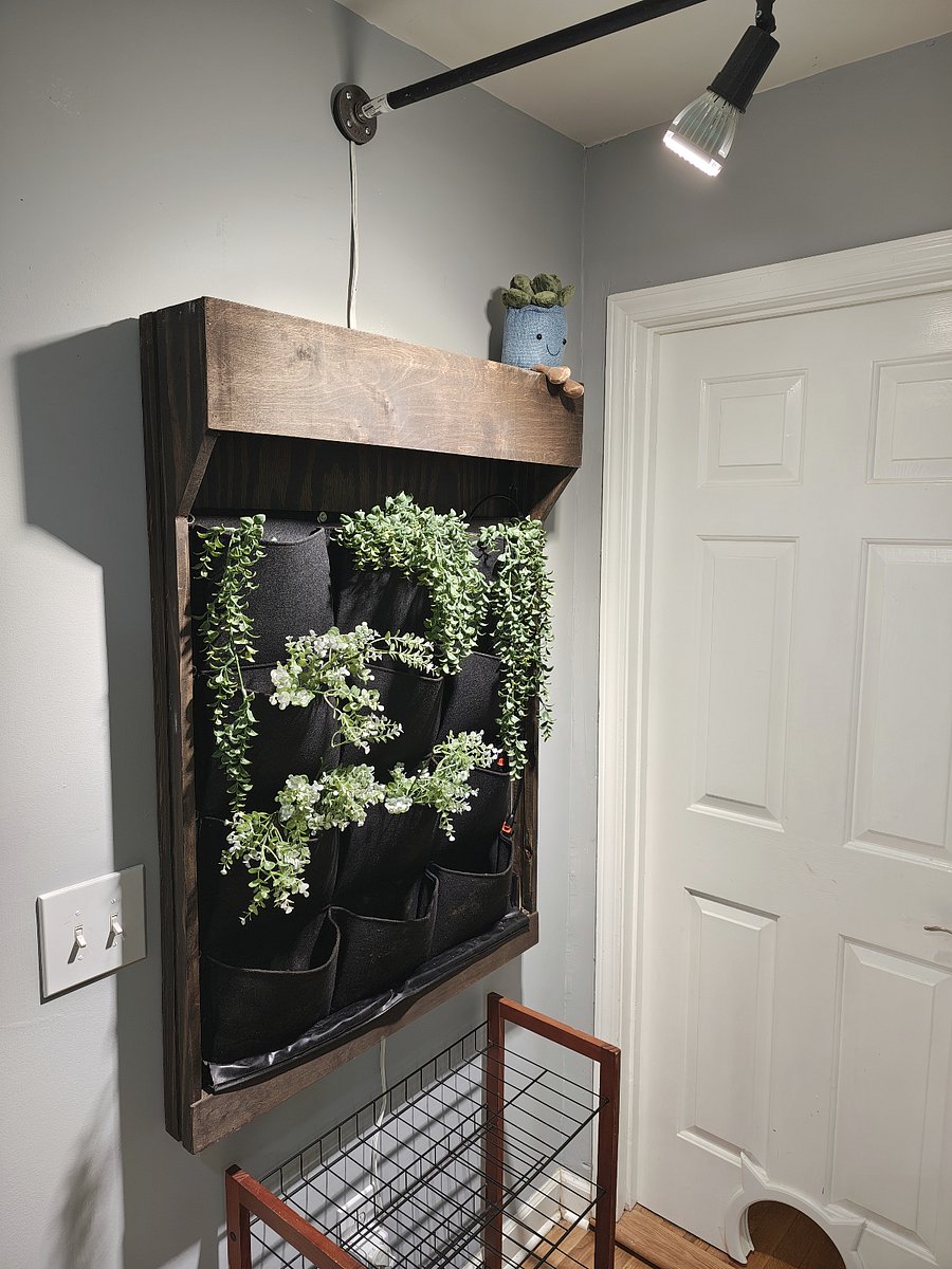 Kitchen - Plant Wall