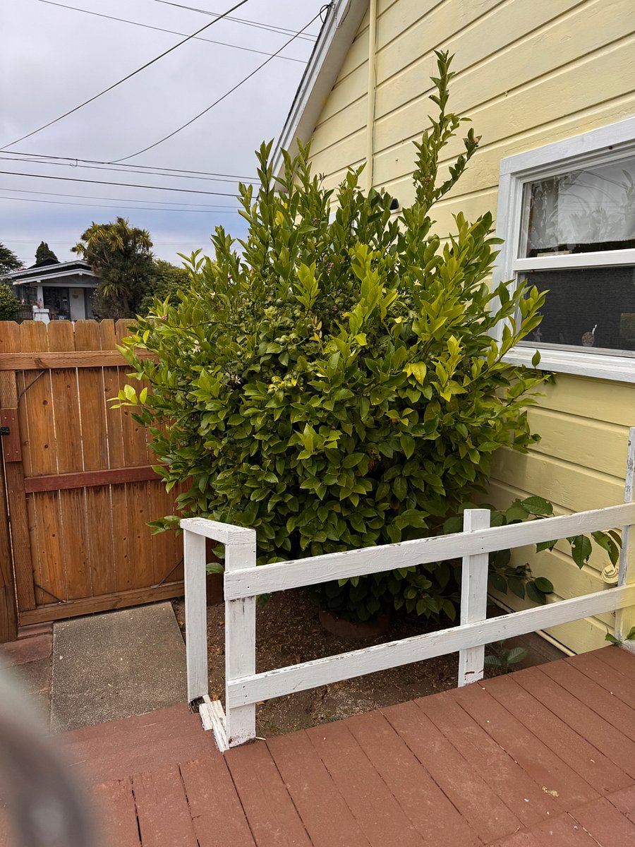 Furnished Finder property 1023503_1 photo 22