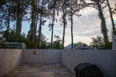 Backyard