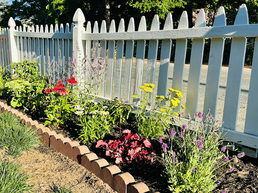 Front yard with drought tolerant, pollinator garden