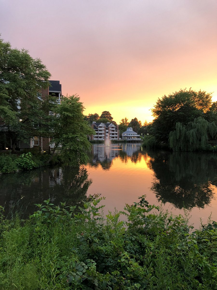 A dedicated walking path circles the lake, steps from your door for evening walks. 