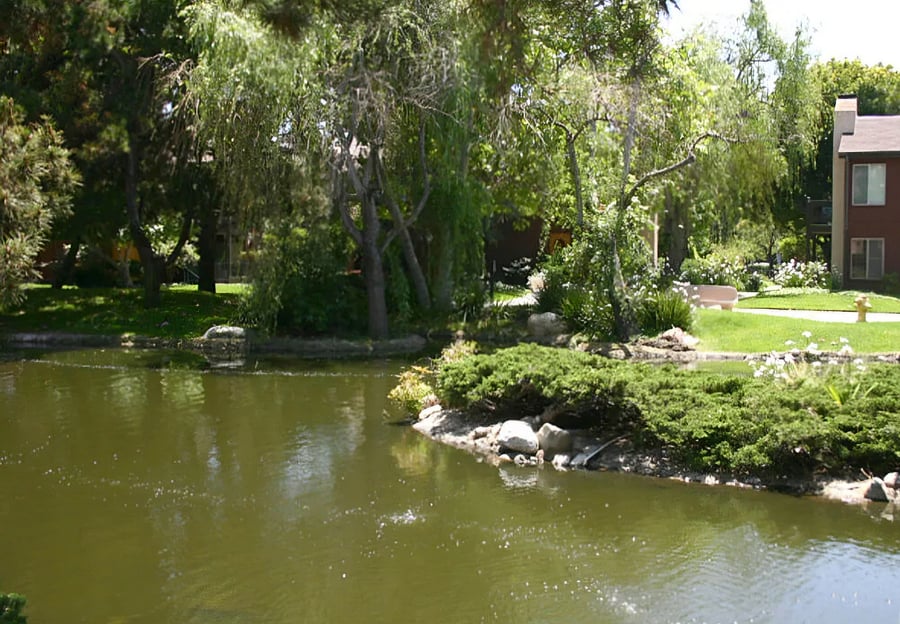 Furnished Finder property 1023616_1 photo 9