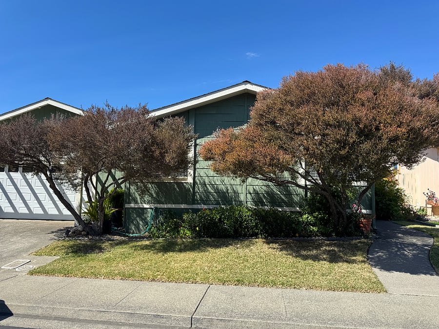 Furnished Finder property 1023639_1 photo 4