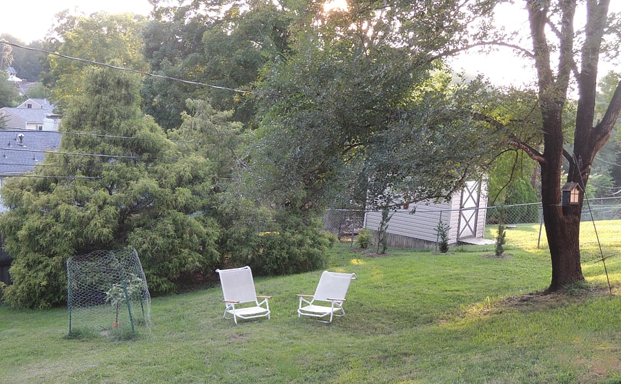 Furnished Finder property 1023649_2 photo 7