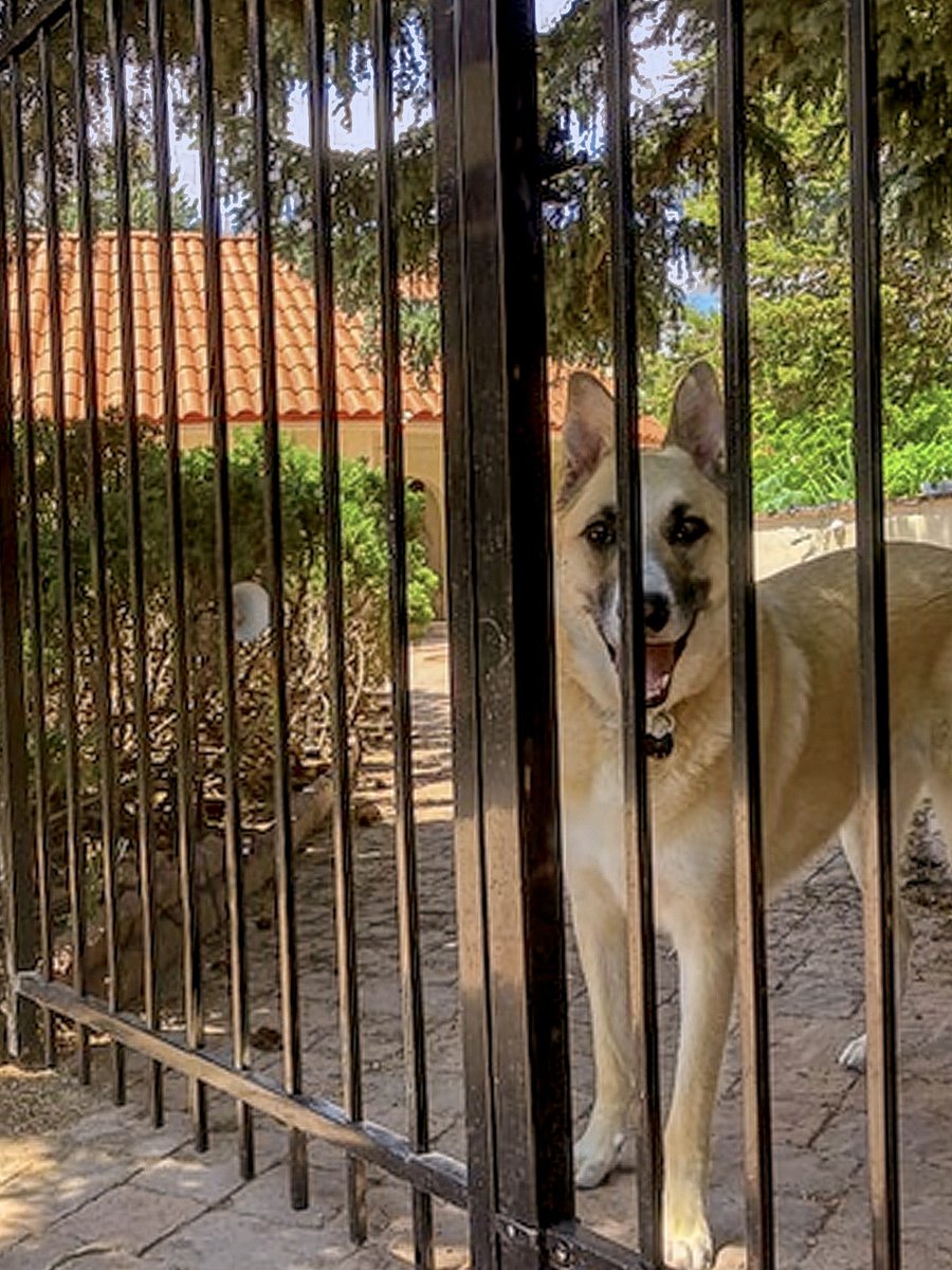 Separated from access to your space by a 6-foot fence, a state of the "ARF" security system keeps the entire property safely protected.