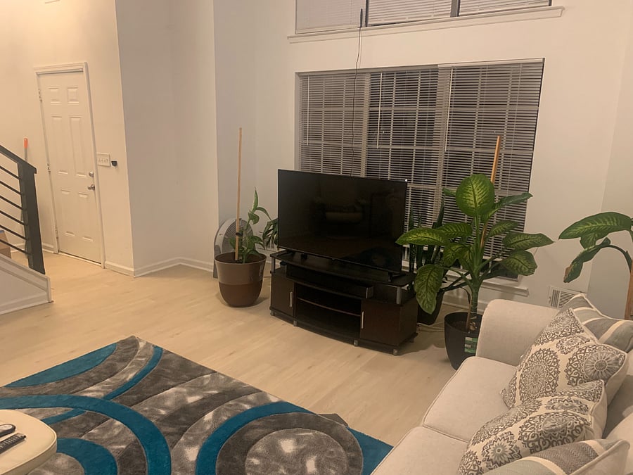 Furnished Finder property 1023711_1 photo 18