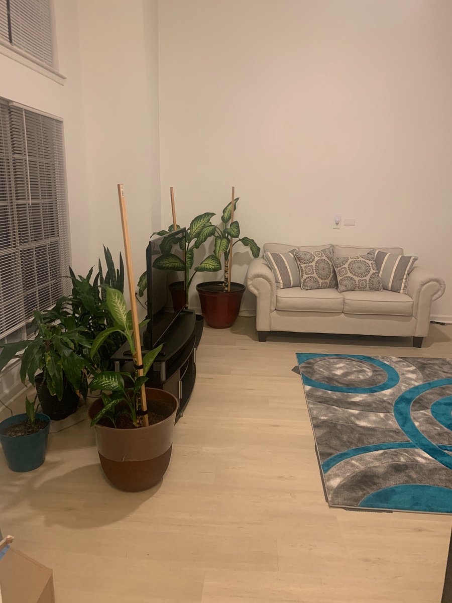 Furnished Finder property 1023711_1 photo 14