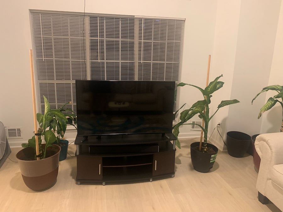 Furnished Finder property 1023711_1 photo 19