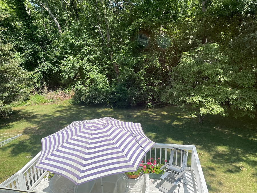 Furnished Finder property 1023782_1 photo 7