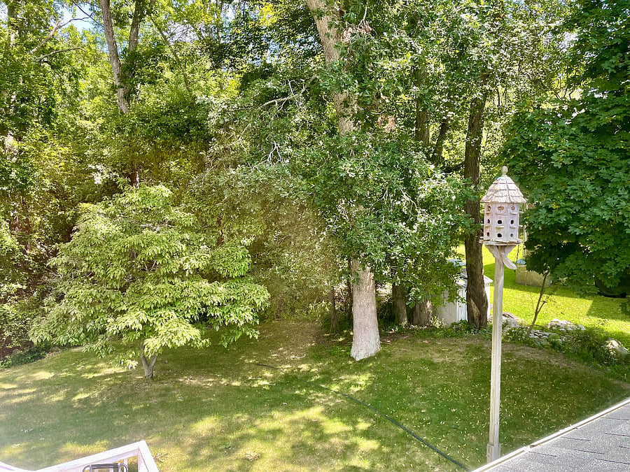 Furnished Finder property 1023782_1 photo 8