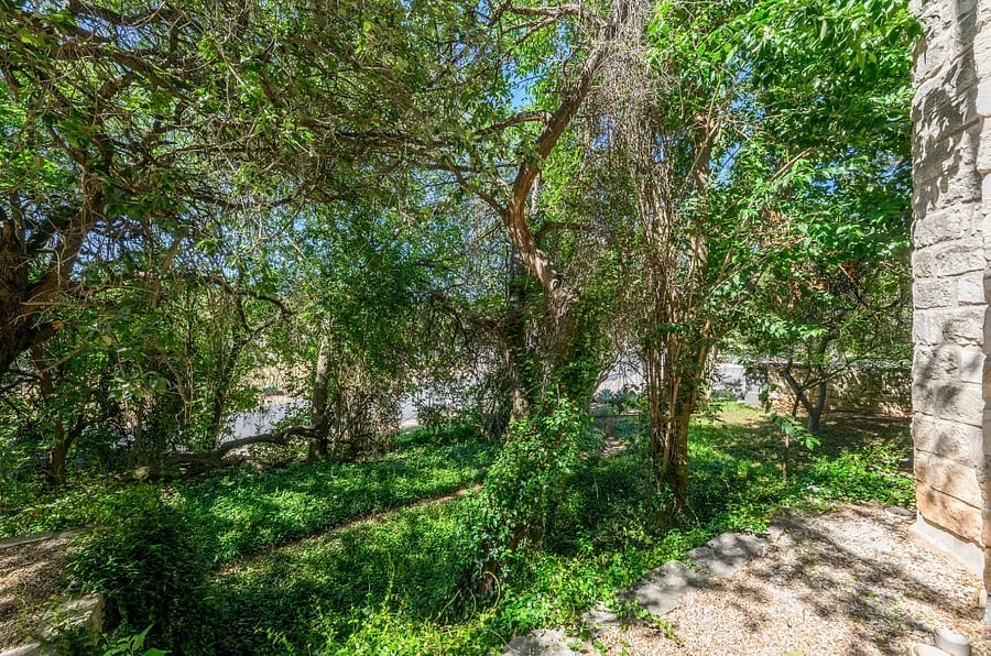 View from the back patio