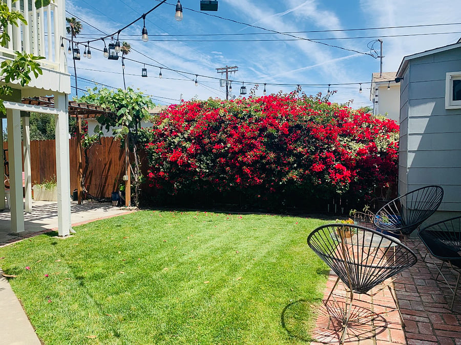 Furnished Finder property 1023824_1 photo 9