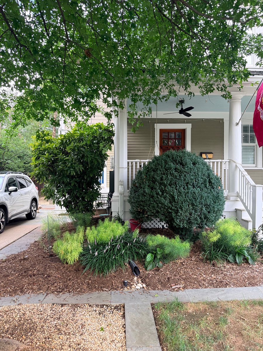 Basement entrance is past the driveway 