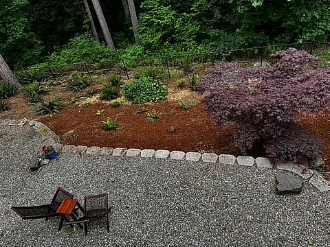 Relax and enjoy the forest view