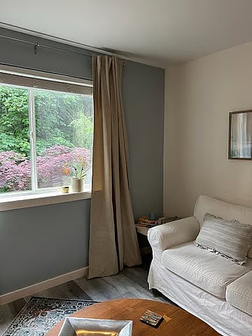 Living room, forest view