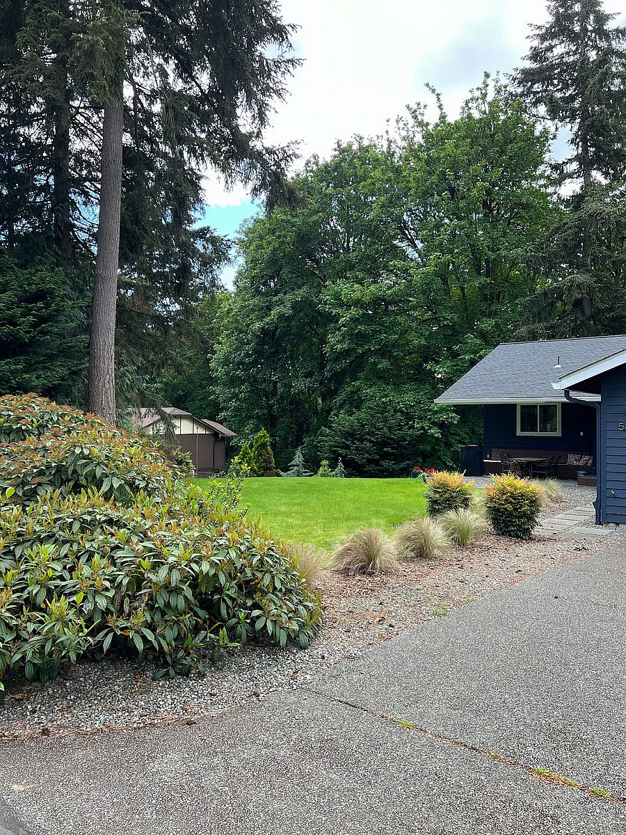 Front yard