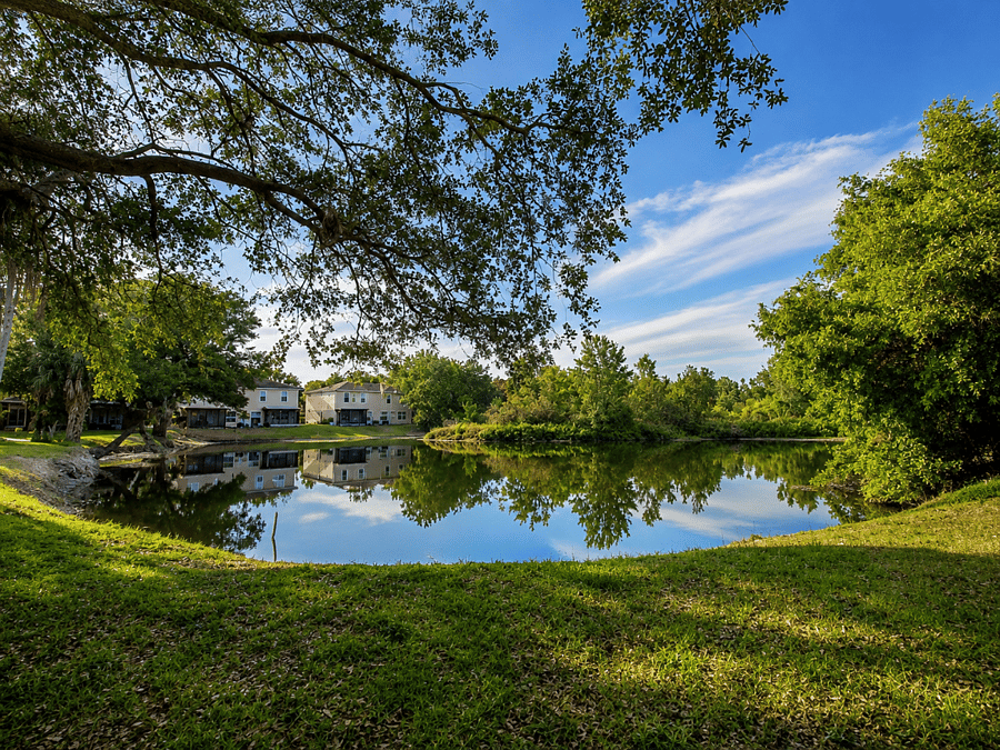 Furnished Finder property 1023937_1 photo 7