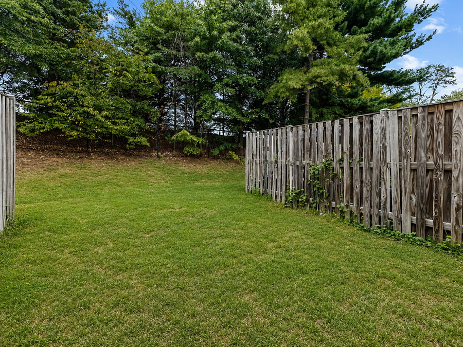 Furnished Finder property 1023979_1 photo 24