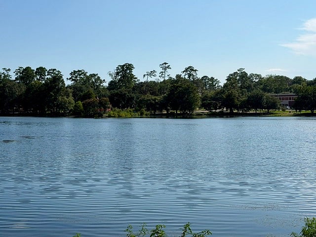 Furnished Finder property 1024056_1 photo 42