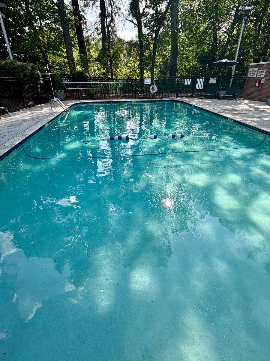 Furnished Finder property 1024086_1 photo 13